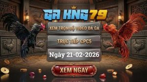 GAKING79 Xem Full Clip Da Ga Truc Tiep CPC5 Ngay 21022026 1