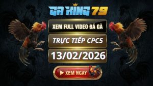 Xem Full Clip Da Ga Truc Tiep CPC5 Ngay 13022026 2