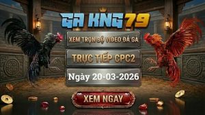 GAKING79 Xem Full Clip Da Ga Truc Tiep CPC2 Ngay 20032026 2