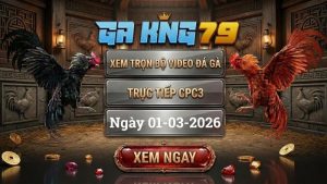 GAKING79 Xem Full Clip Da Ga Truc Tiep CPC3 Ngay 01032026 1