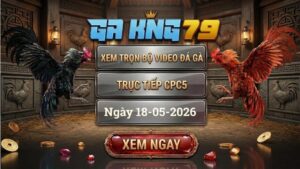 Xem Full Clip Đá Gà Bồ CPC5 Ngày 18/05/2026