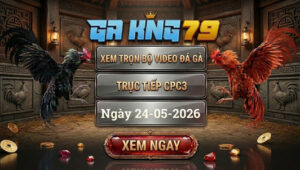 Xem Video Đá Gà CPC3 24:5:2026 tại GAKING79