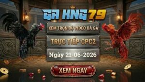 Xem Full Video Đá Gà CPC2 Ngày 21/06/2026 Tại GAKING79