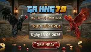 Xem Full Video Đá Gà CPC4 Ngày 13/06/2026 Tại GAKING79